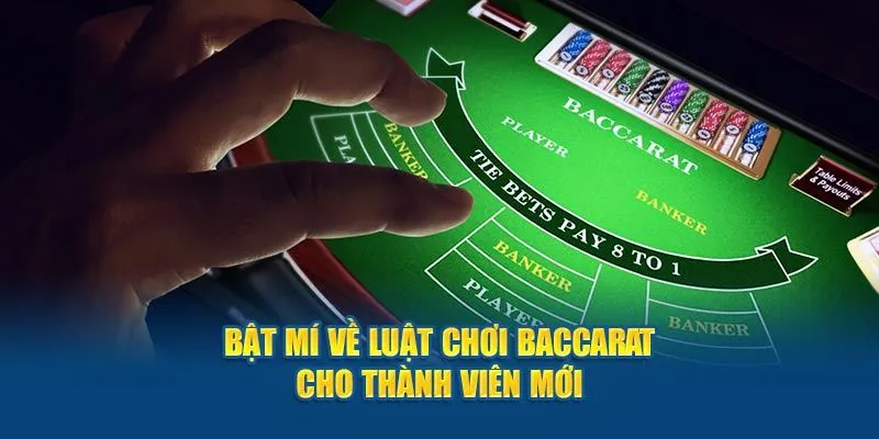 Nguyên tắc cần nắm vững khi tìm hiểu cách chơi Baccarat 